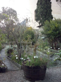 Orto Botanico di Valmadrera2