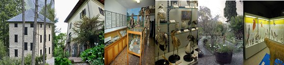 testata musei naturalistici aggiornata